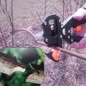 прививочный секатор в кейсе прививочный секатор в кейсе