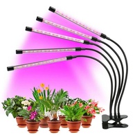 Фитолампа для растений Plant Grow Light 5 рожков