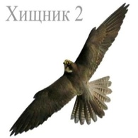 Уценка профиль "Хищник 2" пластиковый 32 x 80 см