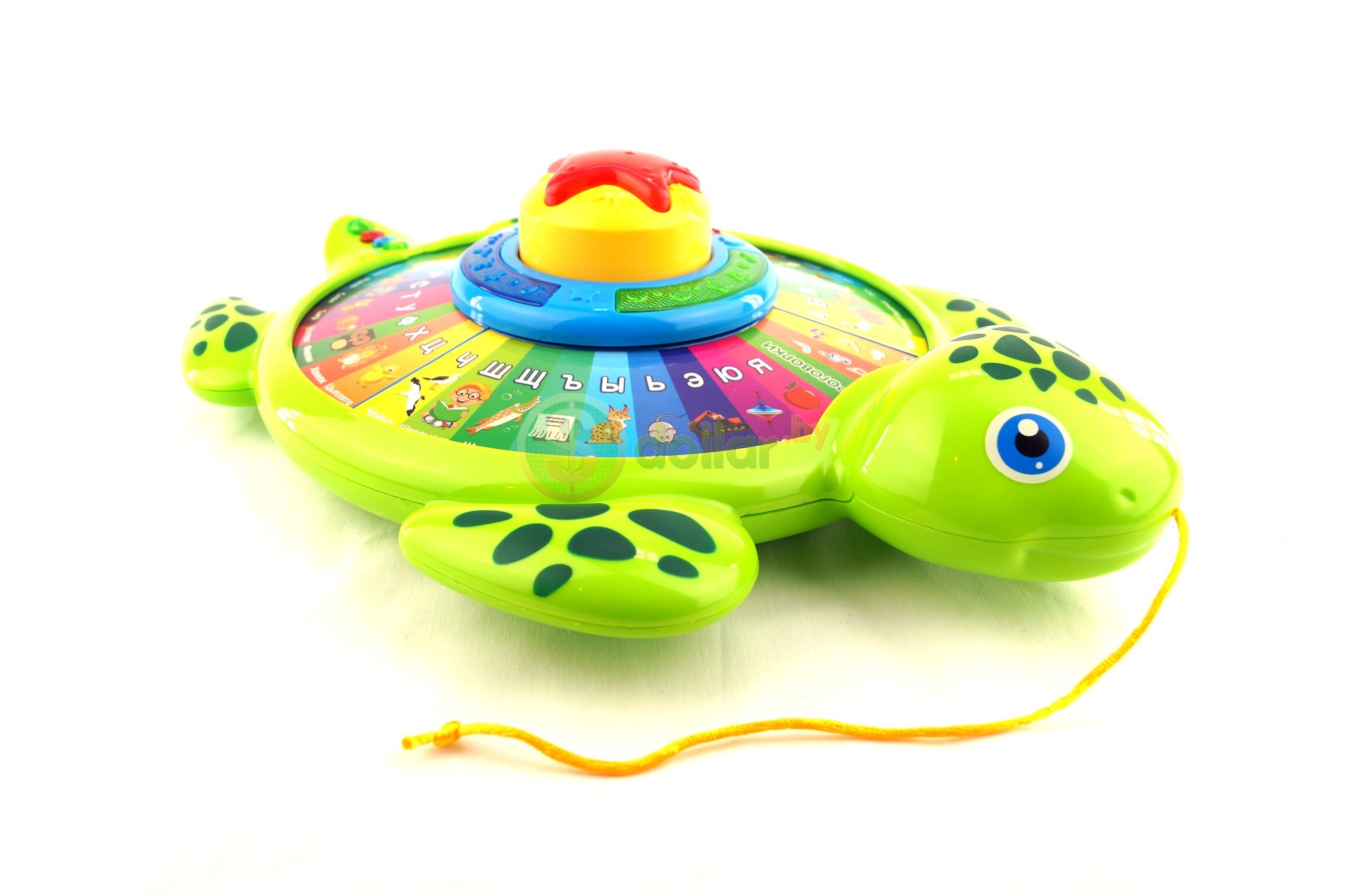 First 33. Игрушка черепашка 7015. Игрушка черепаха музыкальная. Музыкальная игрушка черепашка для малышей. Светящиеся черепахи игрушки.